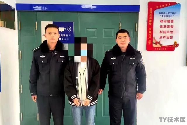 更新windows 11怎么连不上网了